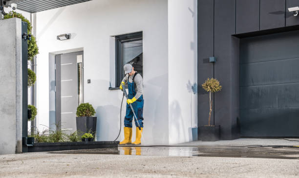 Best Gutter Cleaning  in Catlettsburg, KY
